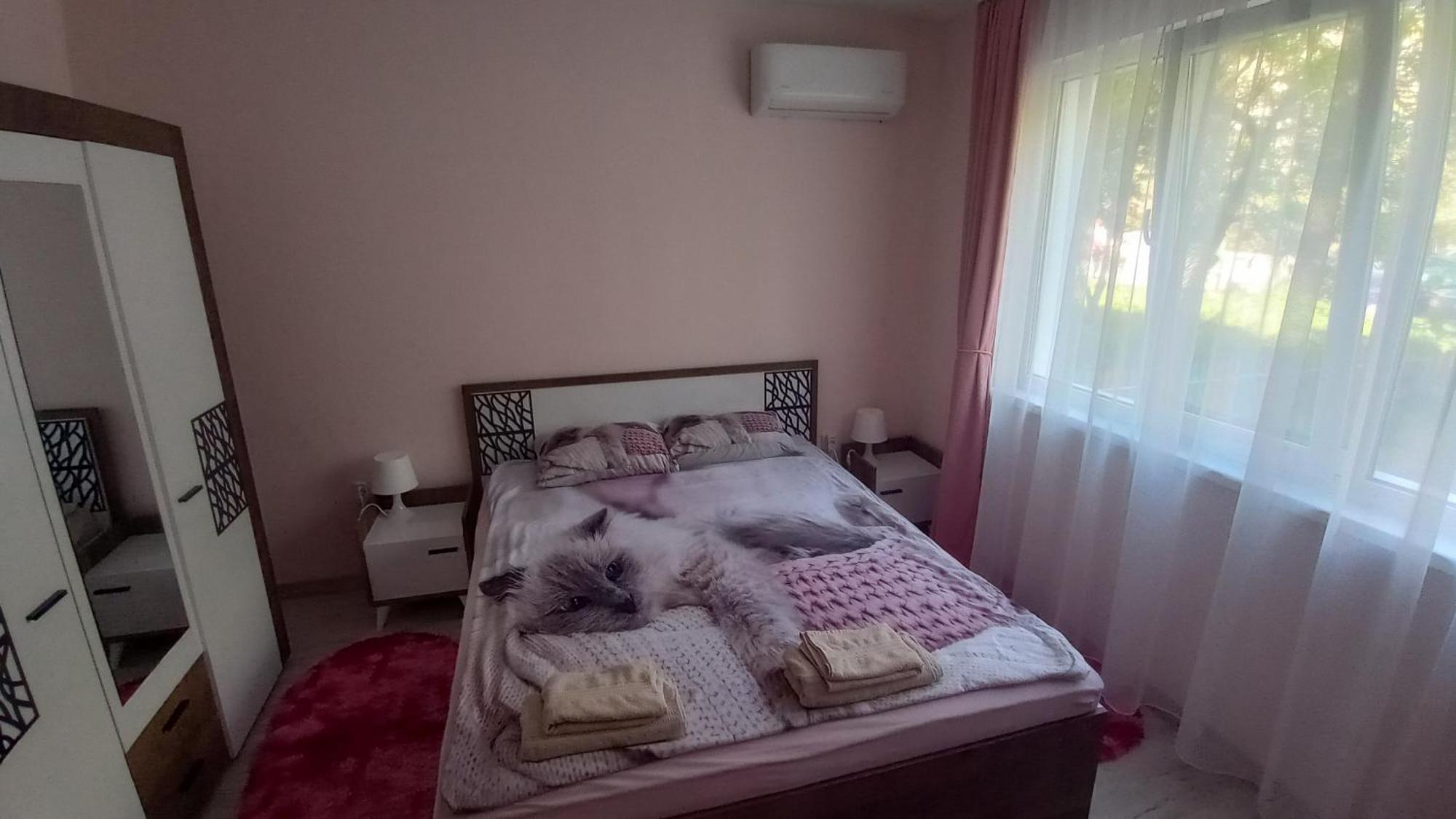 Cosy דירה